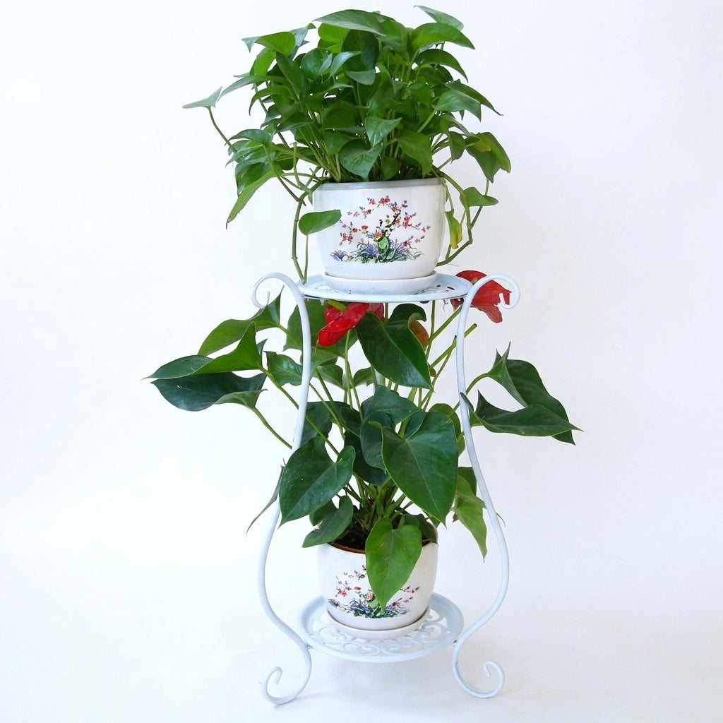 Plant Stands